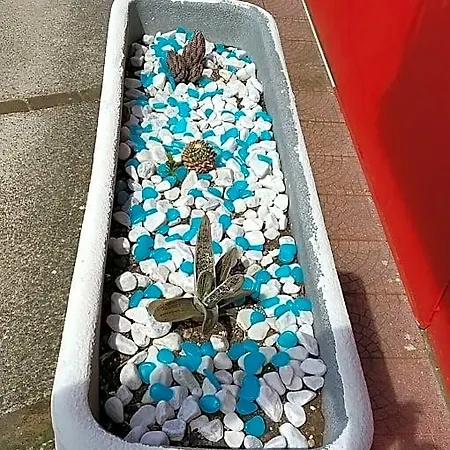 Ξενοδοχείο Magnolia